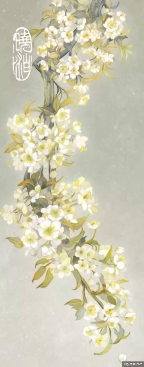 世界排名10大最悲傷的花語,讓我們一起來看看吧！