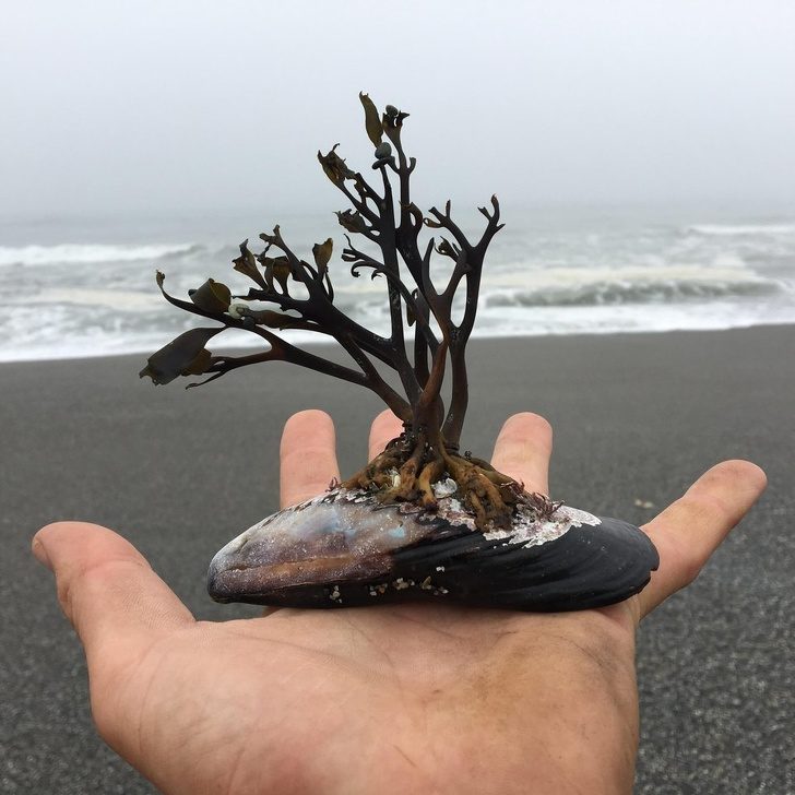 27張讓你相信「天使其實住在地球」的超驚奇照片　紐西蘭的螢火蟲洞超夢幻