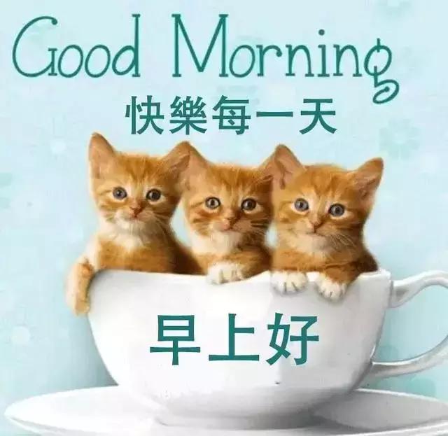 清晨起，送你一縷快樂的晨光，兩絲舒心的清風，早晨好