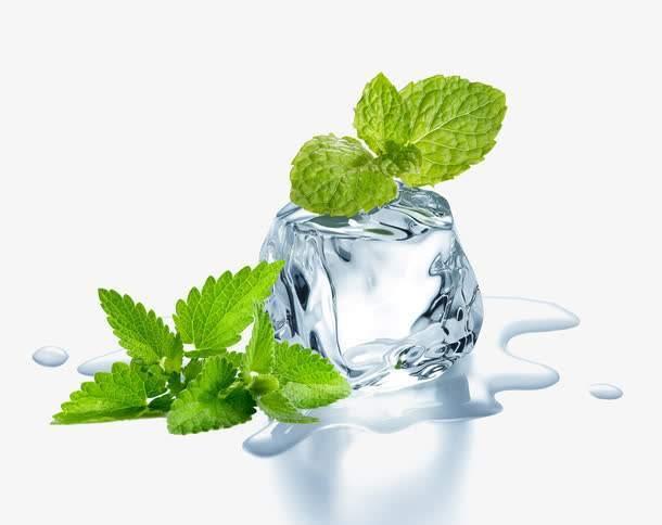 薄荷的四個重要功效，你喜歡吃嗎？
