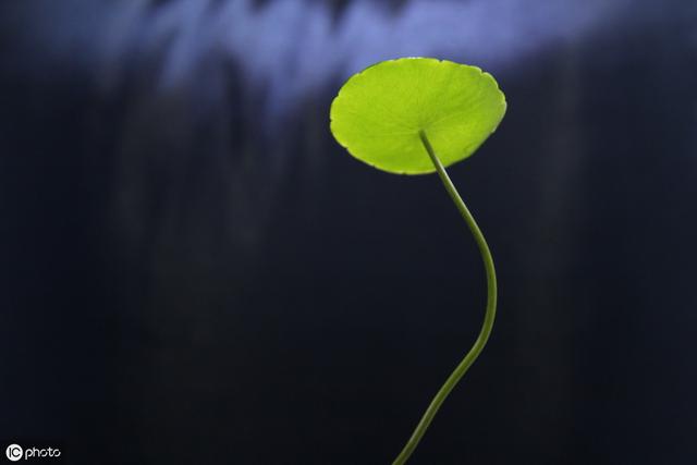 熬夜傷陽氣，易患病，醫生：用這3個方法，滋陽補氣，壽命長！