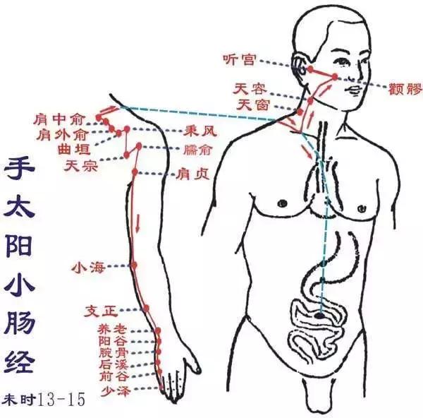 頸椎病，請認準這條經絡！