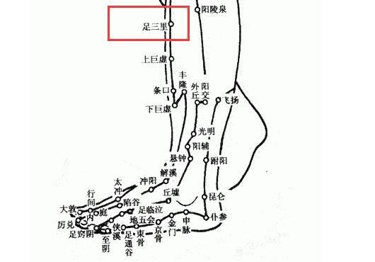 人體自帶四個「養胃穴」，常按按，胃比較舒服