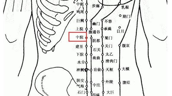 人體自帶四個「養胃穴」，常按按，胃比較舒服