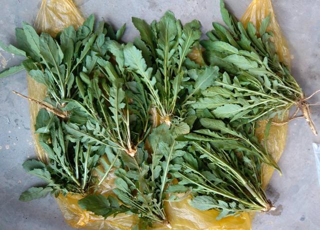 夏天喝什麼水對身體好？營養師：3種食材泡水喝，養生效果翻倍