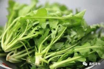 原來，這是對眼睛最好的食物！上班族、小孩都要多吃