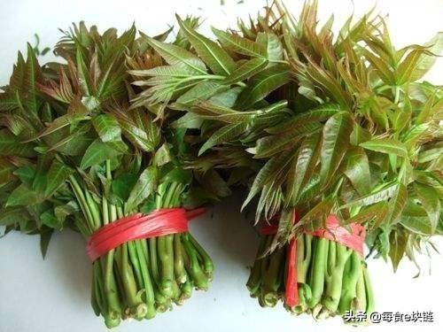 香椿為「樹上蔬菜」，豐富營養與藥用價值常使人們食而不忘!