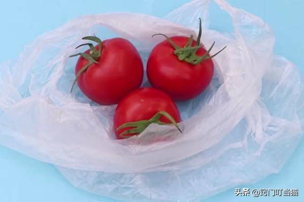 番茄不用放在冰箱保存，菜農大爺教我這一招，放5天照樣新鮮！