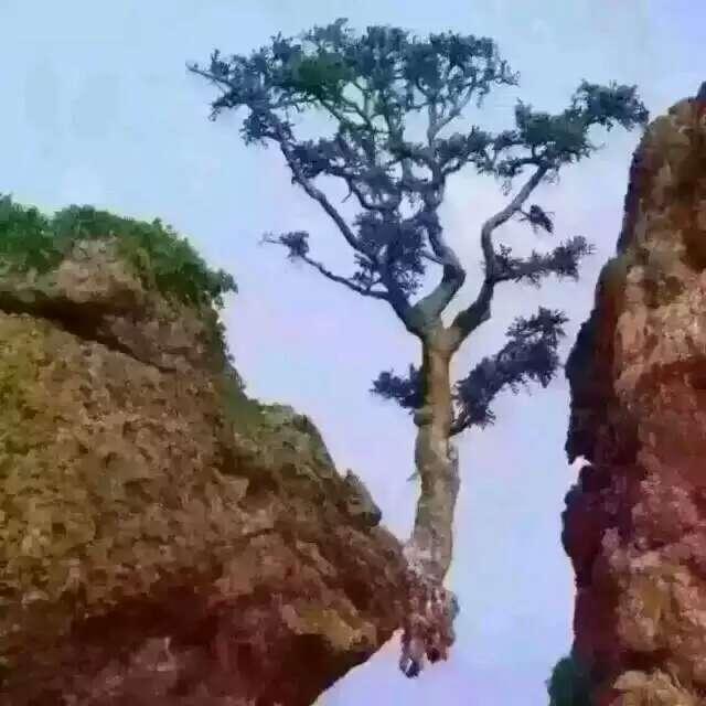 沉住氣兒，是一種重要人生的修為
