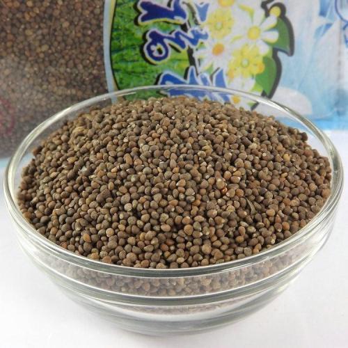 中醫養生：小小的紫蘇全身皆可用藥（附：食療方）