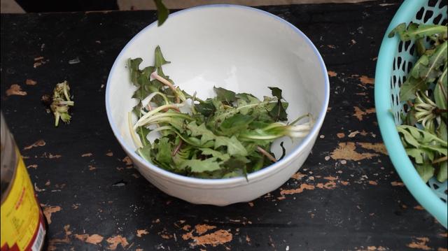 蒲公英的功效和最簡單的食用方法，一學就會，簡單又美味！
