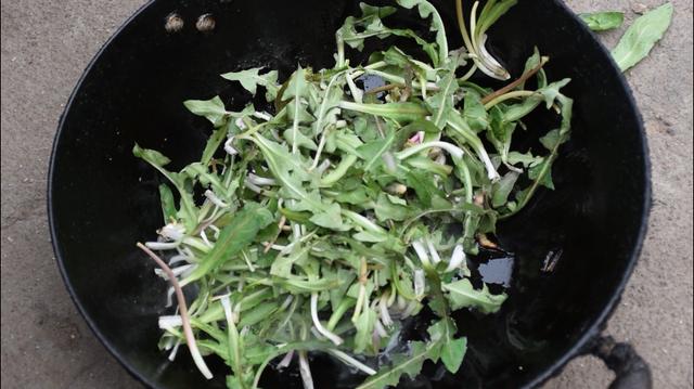 蒲公英的功效和最簡單的食用方法，一學就會，簡單又美味！