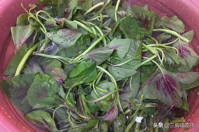 這菜，多給全家人吃，鈣鐵含量比菠菜高，三天兩頭做一次，潤腸胃