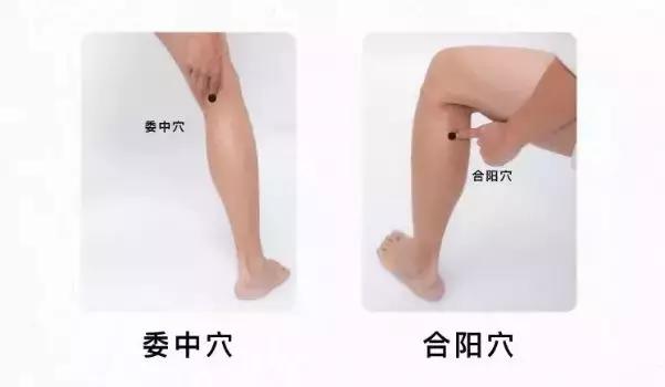 既然叫「濕疹」，說明體內濕氣重，廢水多，如何將水代謝很重要！