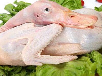 咸檸檬薏仁水鴨湯：滋陰清熱，健脾祛濕
