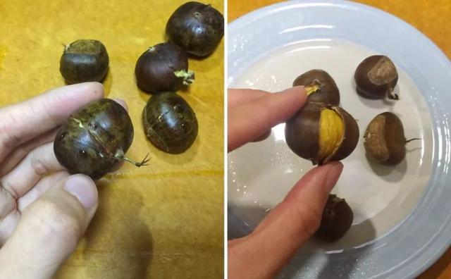 夏天最適合食療，老中醫給的食譜，食療養胃粥，夏天多吃有益