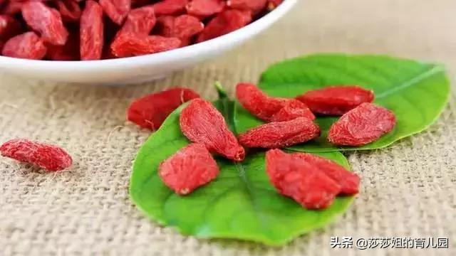 一種「天然抗生素」，它的3大功效+10大黃金搭配，需要你知道