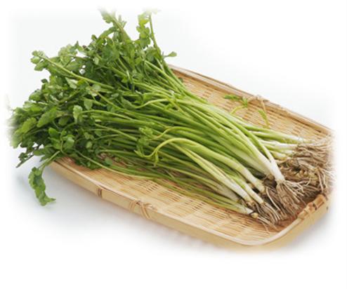 挖到野菜=撿到寶，逐個擊破糖尿病併發症