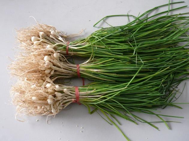 挖到野菜=撿到寶，逐個擊破糖尿病併發症