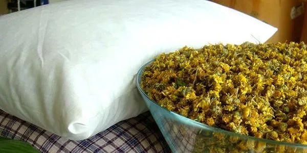花中藥材，夏季清熱，菊花的食療藥膳