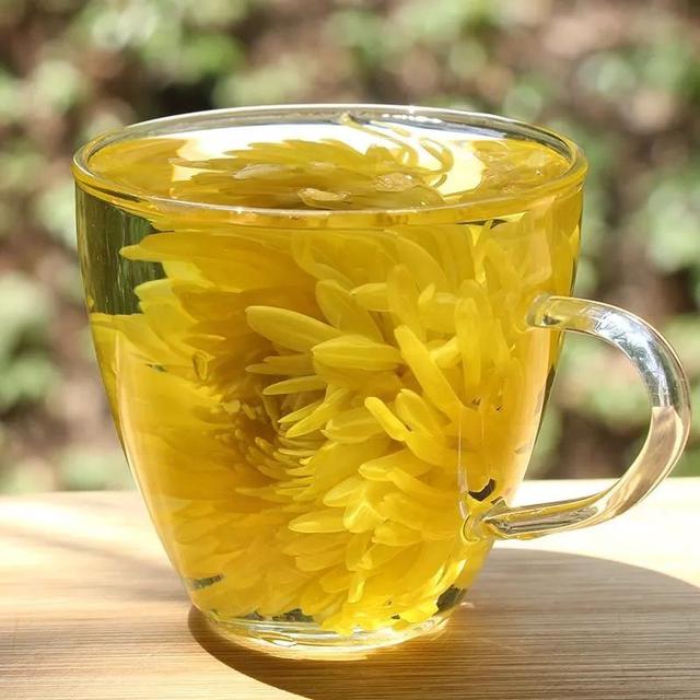 花中藥材，夏季清熱，菊花的食療藥膳