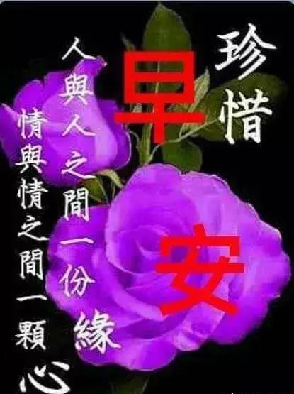 人際關係中，永遠記住一句話：禮尚往來，真誠相待