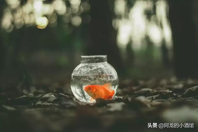 高考之後，我明白了這三點