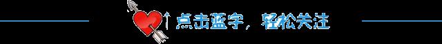 6.6一隻鴿子告訴你,什麼叫珍惜(說的真好)