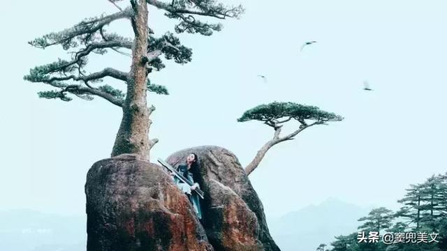 真正聰明的人，為什麼從不去社交？（發人深省）