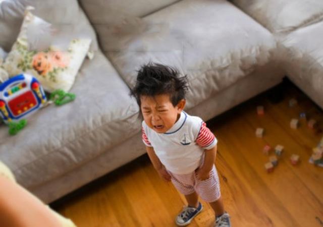 好奇心不是孩子「犯熊」的藉口，守護孩子好奇心，你真的做對了？