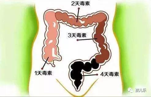 孩子一旦有過一次積食後，以後的腸胃就會更難照顧