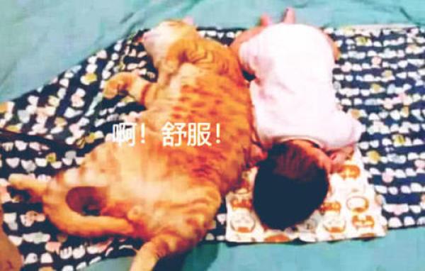 橘貓陪著寶寶睡覺，一個側身壓到寶寶身上，露出的表情讓主人樂了