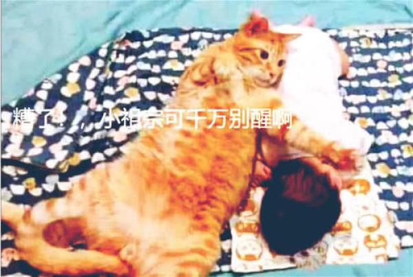 橘貓陪著寶寶睡覺，一個側身壓到寶寶身上，露出的表情讓主人樂了