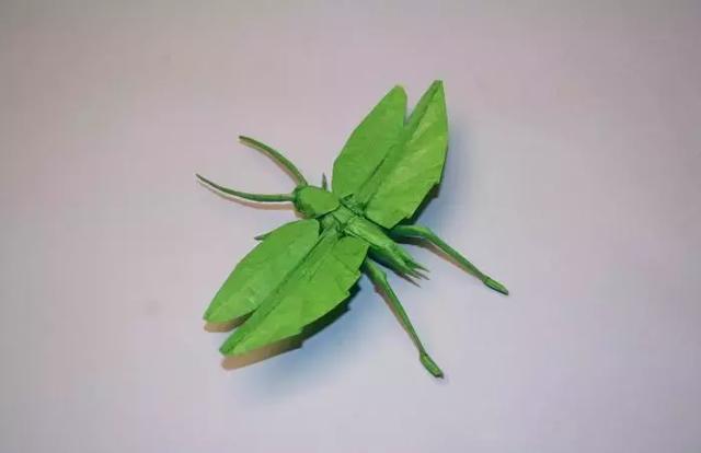 興趣愛好也有鄙視鏈，最「底層」的摺紙竟然上了天
