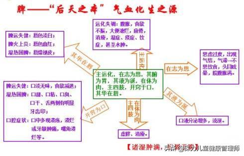 寶寶不愛吃飯、脾胃不好？父母看過來，幫娃調脾胃正確才是關鍵