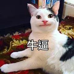 腰間盤不突出，給孩子做的手工作業突出了？做一個合格的家長，難