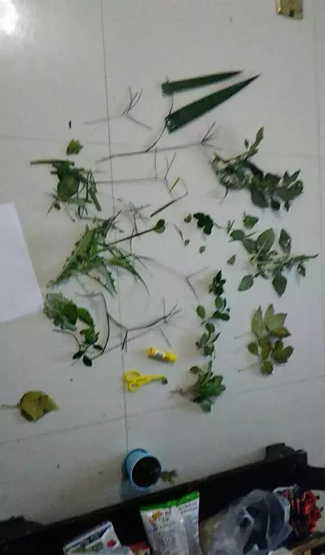 腰間盤不突出，給孩子做的手工作業突出了？做一個合格的家長，難
