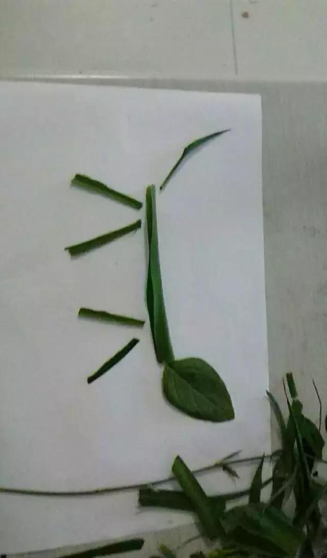 腰間盤不突出，給孩子做的手工作業突出了？做一個合格的家長，難