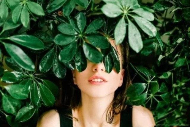 回家上墳，母親做一桌好菜，我誇獎一句妻子要離婚