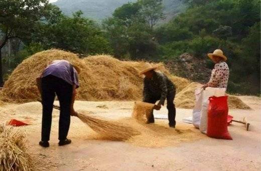 父親生病，弟弟來借錢遭姐夫取笑，八年後弟弟開豪車來姐夫家