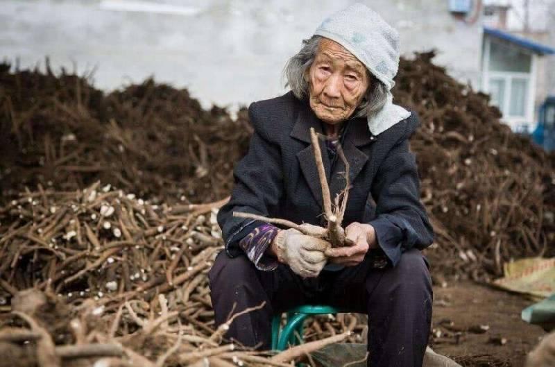 母親到兒女家養老，兒子給吃肉，女兒只給吃素，結果兒子樂了
