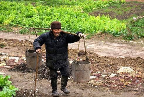 女子河邊洗衣服，遇條黑魚爬上岸，魚道一語，女子回村綁抓了丈夫