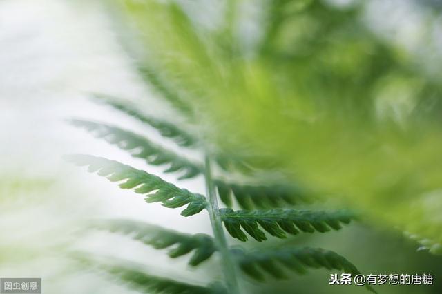 家庭撫養：父母只有少做」無用功「，孩子才能按你希望的方向成長