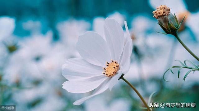 家庭撫養：父母只有少做」無用功「，孩子才能按你希望的方向成長