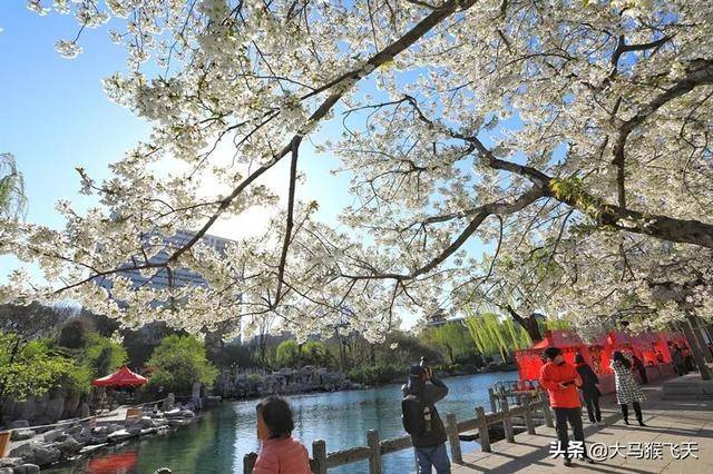 「婆婆，我想出去找份工作」「別說了，每月生活費我多給你五百」