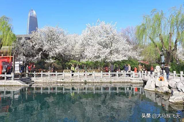 「婆婆，我想出去找份工作」「別說了，每月生活費我多給你五百」