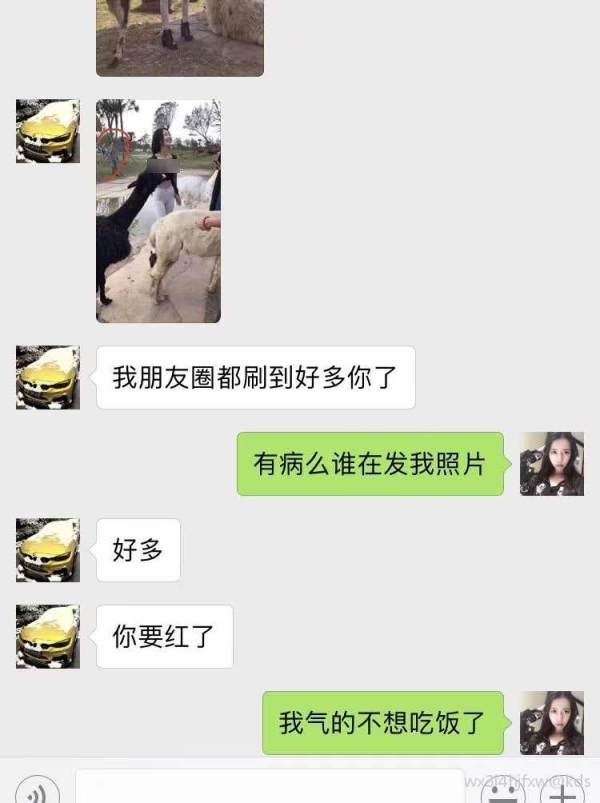 只是出遊卻意外成了網紅！妹子太吸睛 網友狂放大：這100分