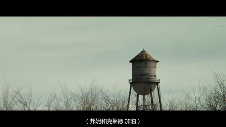 豆瓣7.3分！「雌雄大盜」變為「萬人偶像」！這是個什麼時代？