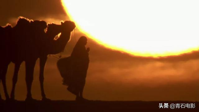 BBC最新力作！把紀錄片拍出科幻大片的感覺，豆瓣評分高達9.5