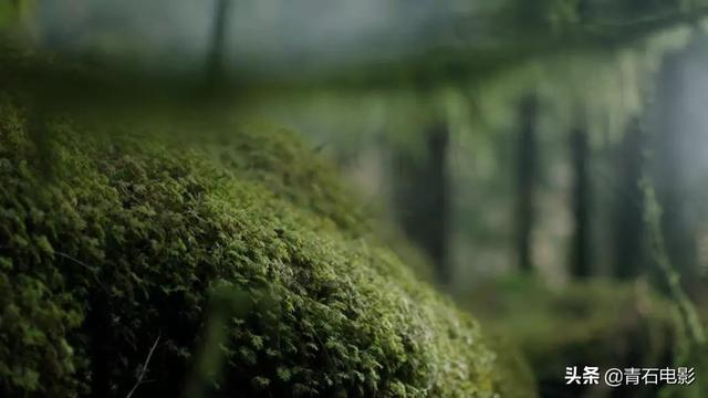 BBC最新力作！把紀錄片拍出科幻大片的感覺，豆瓣評分高達9.5